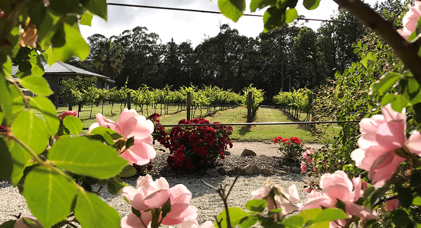 Summit Estate Garden